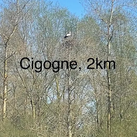 La Vue De Chateau, Maison Neuve En Baie De Somme